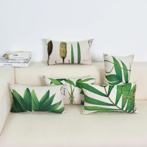 Collection Jungle Trees Collection Jungle Trees 2