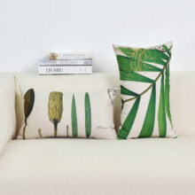 Collection Jungle Trees Collection Jungle Trees