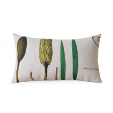 Collection Jungle Trees Collection Jungle Trees