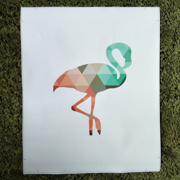 Affiche flamingo Affiche flamingo
