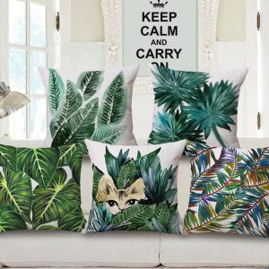 Collection – My palmier Collection palm baie 1