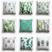 Collection Cactus mania
