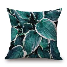 Collection palm baie 3