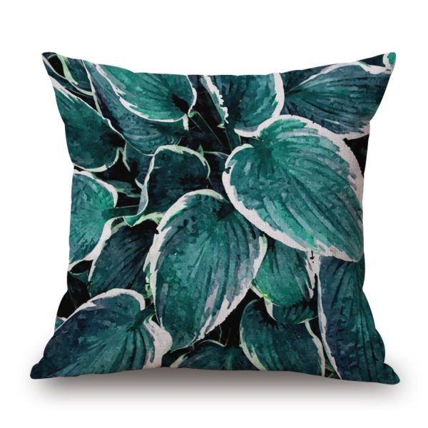 Collection palm baie 3