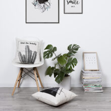 Collection black cactus 2