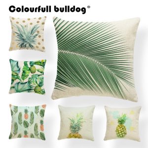 Collection palmerais Collection palmerais 1