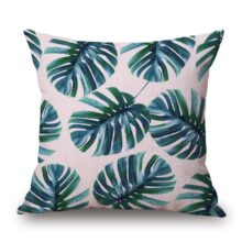 Collection palm baie 5