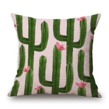 Collection acid cactus 4