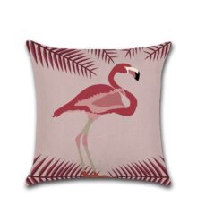 Collection – Toucan toco & flamingo Collection Pelican baie 2