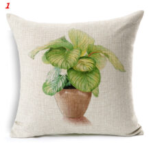 Collection flowers Collection flowers 3