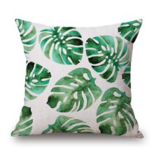 Collection acid cactus 2