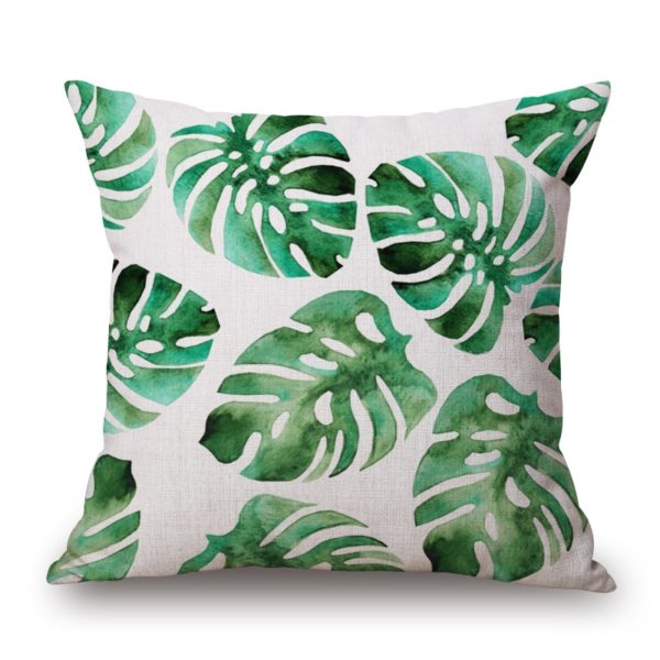 Collection acid cactus 2