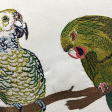 Housses de coussin perruches & perroquets Coussin perruches & perroquets 5