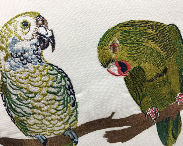 Housses de coussin perruches & perroquets Coussin perruches & perroquets 5