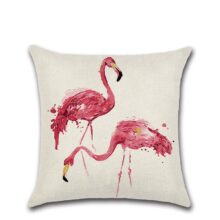 Collection – Toucan toco & flamingo Collection Pelican baie 4