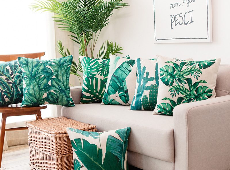 Collection tropical baie
