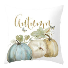 Housse de coussin happy time 1