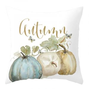Housse de coussin happy time 1