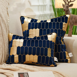 Collection de coussin bleu royale 1
