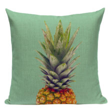 Housse de coussin collection citron vert Housse de coussin collection citron vert