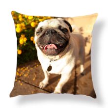 Housse de coussin personnalisée – Photo sur coussin Housse de coussin personnalisé 1