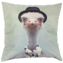 Housse de coussin Autruche Housse de coussin Autruche