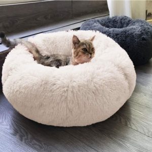 coussin apaisant chat ronf
