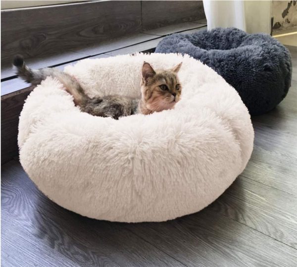 coussin apaisant chat ronf