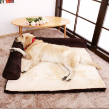 coussin canapé valériane pour chien et chat coussin canapé valériane pour chien et chat 1