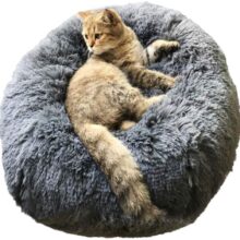 coussin valériane chat de luxe coussin valériane pour chaton