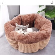 Coussin chat confortable muffin