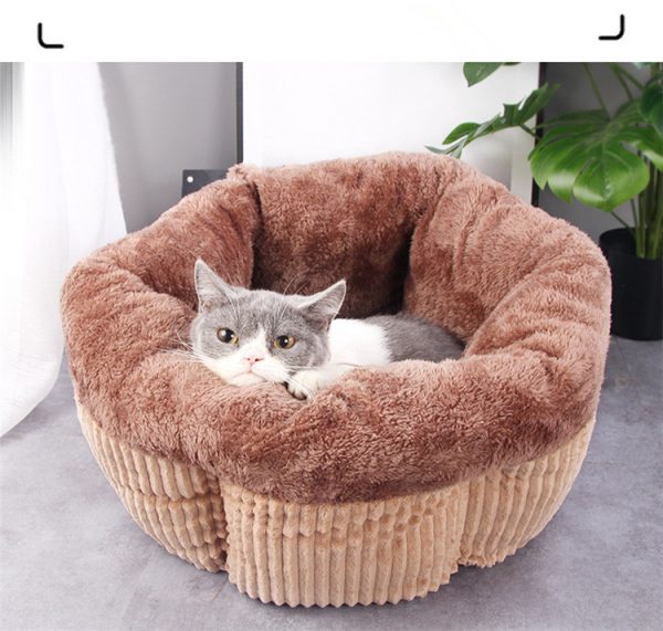 Coussin chat confortable muffin