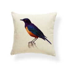 Housse de coussin oiseaux toucan & perruche 4
