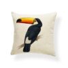 coussin toucan chic