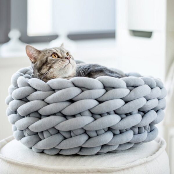 Coussin pour chat nid de laine 