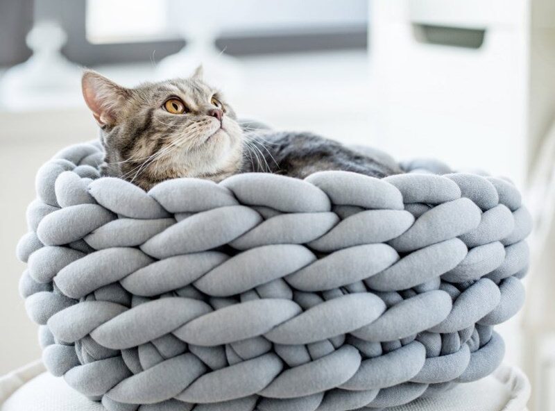 Coussin pour chat nid de laine 1