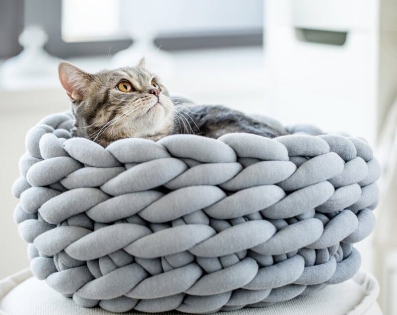 Coussin pour chat nid de laine 1