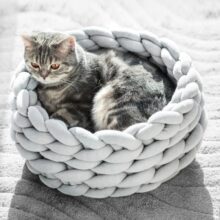 Coussin pour chat nid de laine 2