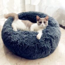 coussin valériane pour chat confort d'hiver 1