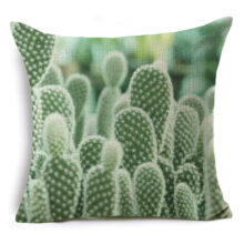 Housse de coussin nature cactus et plante grasse Housse de coussin Nature housse de coussin cactus housse de coussin plante housse de coussin tropical housse de coussin vert housse de coussin 40x40cm housse de coussin 50x50cm housse de coussin 45x45 housse de coussin 45x45cm 18