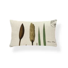 Housses de coussin nature plante et cactus 30x50cm 3