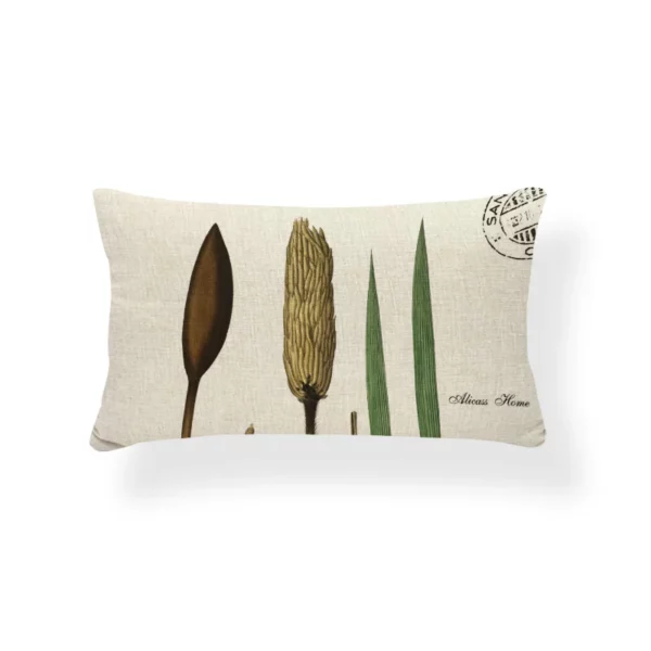 Housses de coussin nature plante et cactus 30x50cm 3