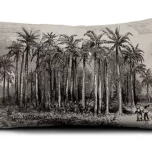 Housse de coussin nature tropicale origine noir et blanc Housse de coussin nature tropicale origine noir et blanc 17