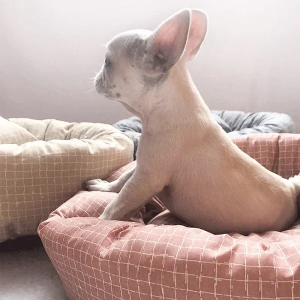 Coussin rond Animaux super comfy Coussin rond Animaux super comfy 3