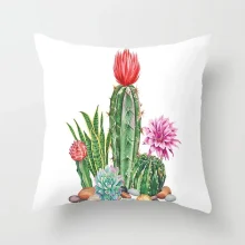Housse de coussin nature le paradis de cactus Housse de coussin nature le paradis de cactus