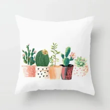 Housse de coussin nature le paradis de cactus Housse de coussin nature le paradis de cactus