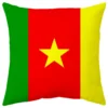Housse de coussin les pays de la coupe du monde 17