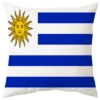 Housse de coussin les pays de la coupe du monde 31