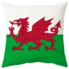 Housse de coussin les pays de la coupe du monde 35