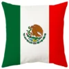 Housse de coussin les pays de la coupe du monde 6